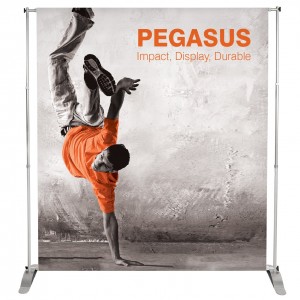 Pegasus